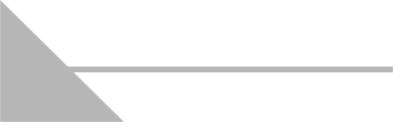 Gamma Securities